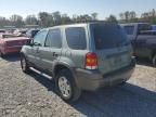 2006 Ford Escape XLT