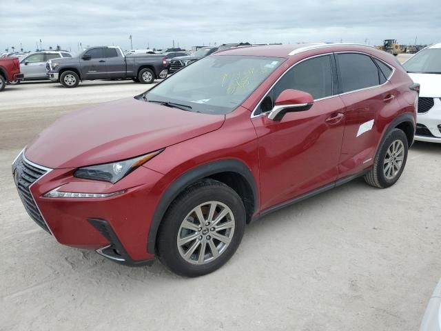 2021 Lexus NX 300H Base