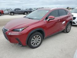 Flood-damaged cars for sale at auction: 2021 Lexus NX 300H Base