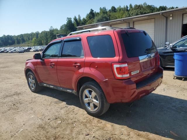 2012 Ford Escape Limited