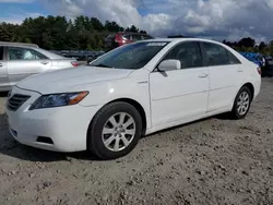 Toyota salvage cars for sale: 2009 Toyota Camry Hybrid