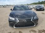 2024 Lexus ES 350 Base