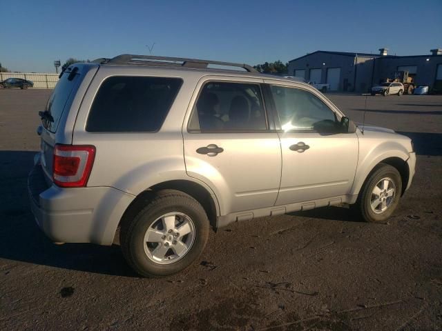 2009 Ford Escape XLT