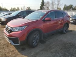 Honda salvage cars for sale: 2020 Honda CR-V EXL