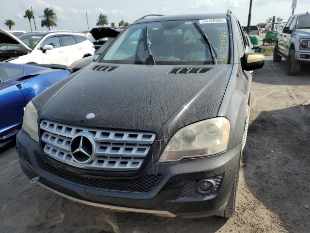 2010 Mercedes-Benz ML 350