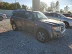 2010 Ford Escape Limited