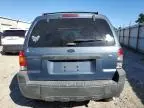 2006 Ford Escape XLT