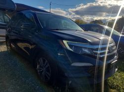 Honda salvage cars for sale: 2016 Honda Pilot EXL