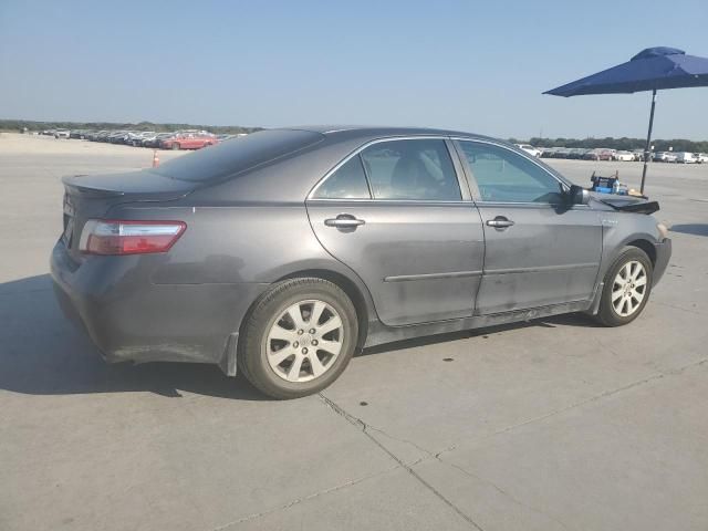 2009 Toyota Camry Hybrid