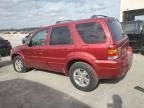 2007 Ford Escape Limited