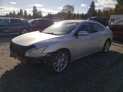 Nissan Maxima salvage cars for sale: 2009 Nissan Maxima S