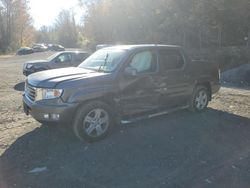 Honda Ridgeline rtl Vehiculos salvage en venta: 2014 Honda Ridgeline RTL