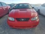 1999 Ford Mustang