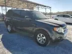 2010 Ford Escape Hybrid