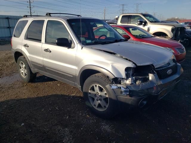 2005 Ford Escape XLT