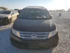 2013 Honda Odyssey EXL