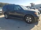 2006 Nissan Pathfinder LE