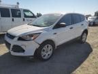 2014 Ford Escape S