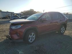 Salvage cars for sale at Hillsborough, NJ auction: 2021 Toyota Rav4 XLE