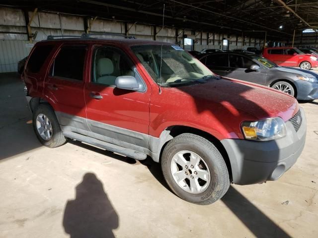 2005 Ford Escape XLT