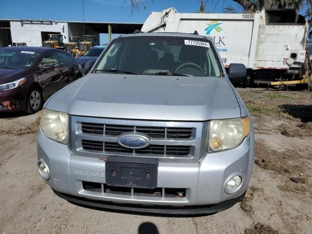 2010 Ford Escape XLT