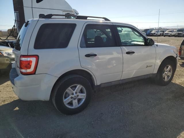 2011 Ford Escape Hybrid