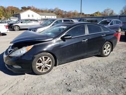 Salvage cars for sale at York Haven, PA auction: 2011 Hyundai Sonata SE