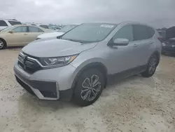 Salvage cars for sale at Arcadia, FL auction: 2020 Honda CR-V EXL