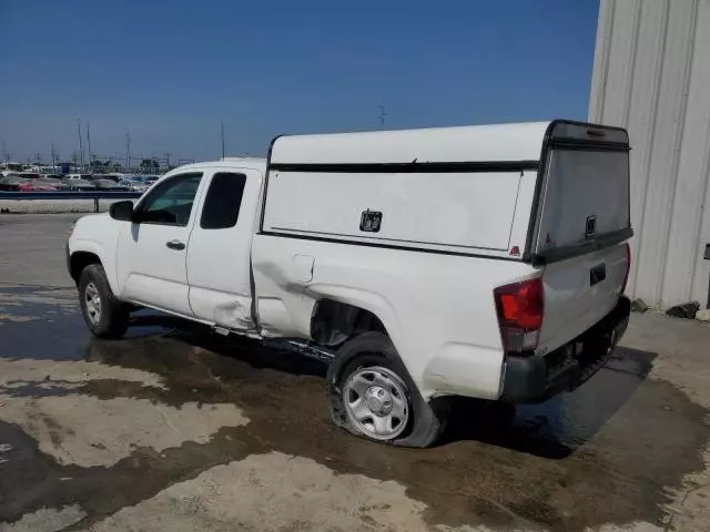 2023 Toyota Tacoma Access Cab