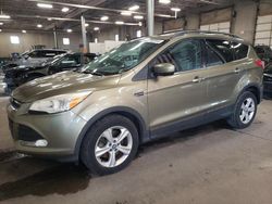 Salvage cars for sale at Blaine, MN auction: 2013 Ford Escape SE