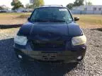 2007 Ford Escape Limited