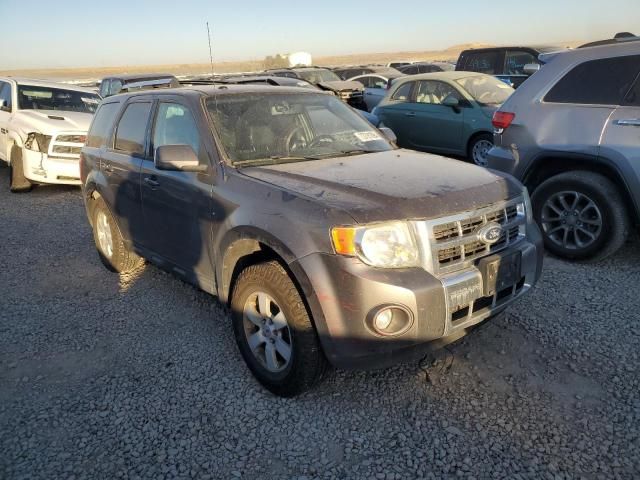 2010 Ford Escape Limited