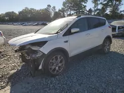 Ford Vehiculos salvage en venta: 2013 Ford Escape SEL