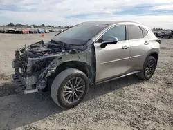 Salvage cars for sale at Sacramento, CA auction: 2023 Lexus NX 250