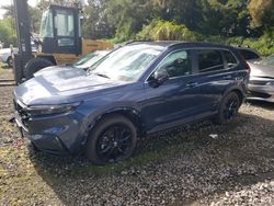 Honda salvage cars for sale: 2024 Honda CR-V Sport