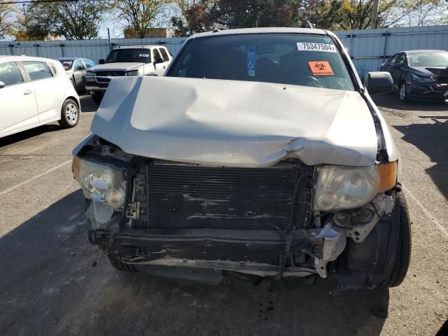 2009 Ford Escape XLT