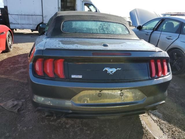 2019 Ford Mustang