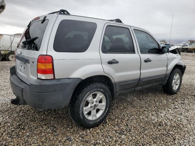 2005 Ford Escape XLT