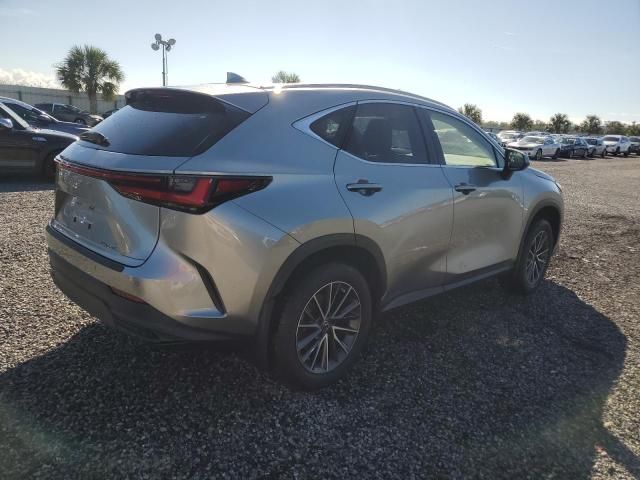 2022 Lexus NX 250