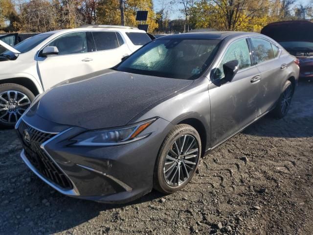 2024 Lexus ES 350 Base