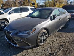 Vehiculos salvage en venta de Copart Marlboro, NY: 2024 Lexus ES 350 Base