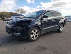 Salvage SUVs for sale at auction: 2014 Ford Escape SE