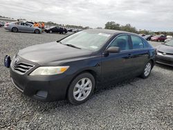 Salvage cars for sale at Riverview, FL auction: 2010 Toyota Camry Base