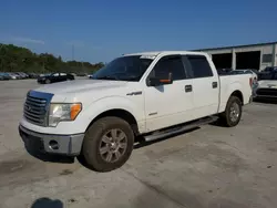 Ford f150 Supercrew salvage cars for sale: 2012 Ford F150 Supercrew