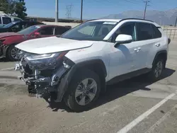 Toyota salvage cars for sale: 2024 Toyota Rav4 XLE