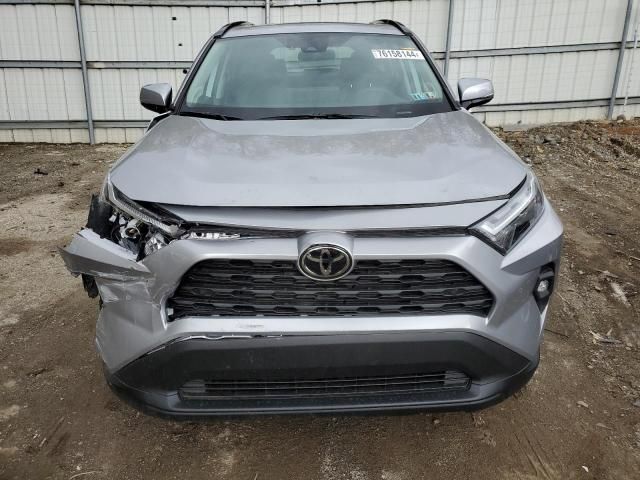 2024 Toyota Rav4 XLE Premium