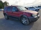 2005 Ford Escape XLT