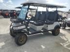 2023 Icon Golf Cart