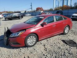 Salvage cars for sale at Windsor, NJ auction: 2016 Hyundai Sonata Hybrid