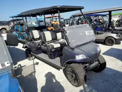 2024 Golf Golf Cart en venta en Arcadia, FL